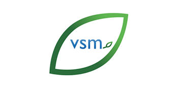 vsm